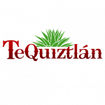 Tequiz Logo without Copy 002